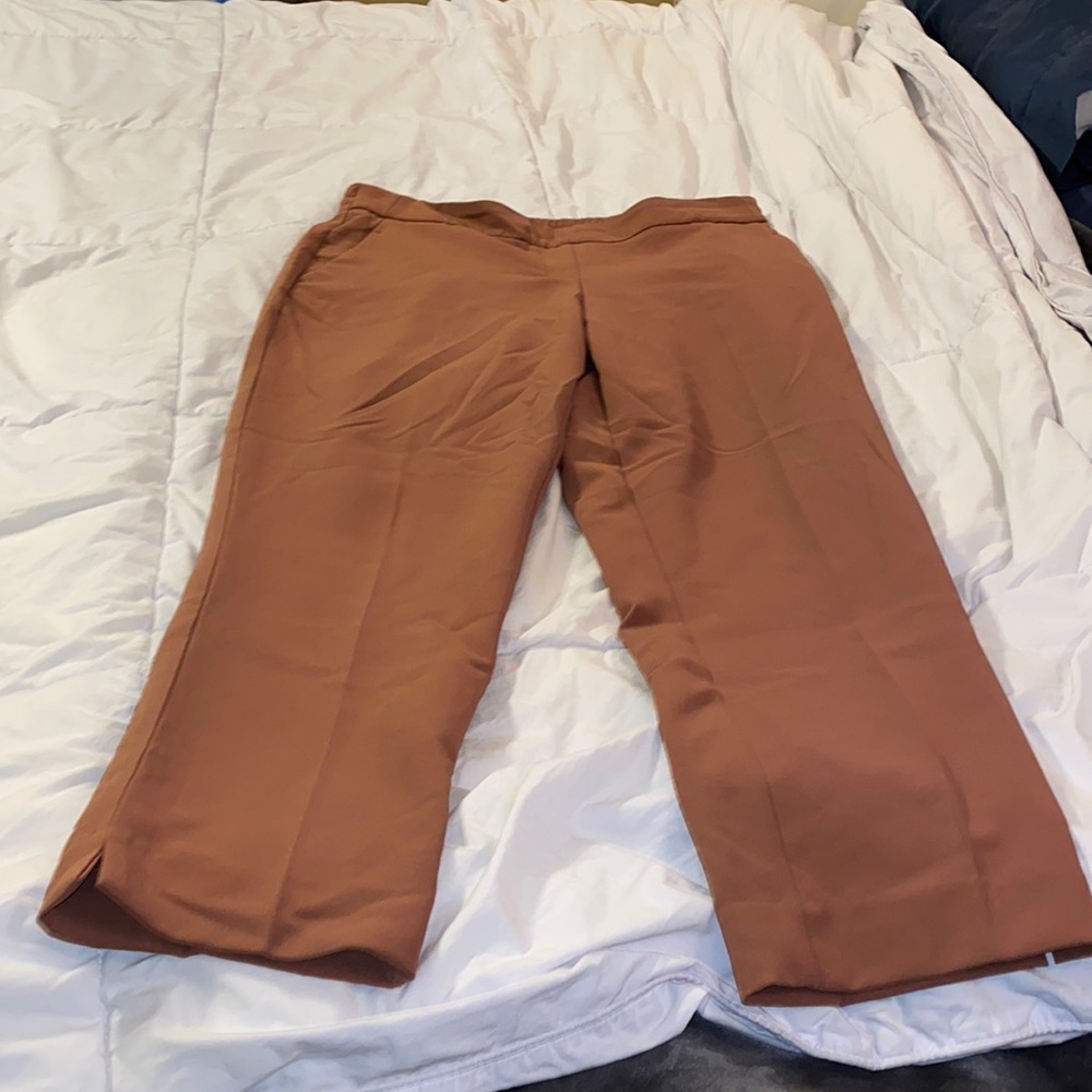 Rose color dress pants (ankle length)
